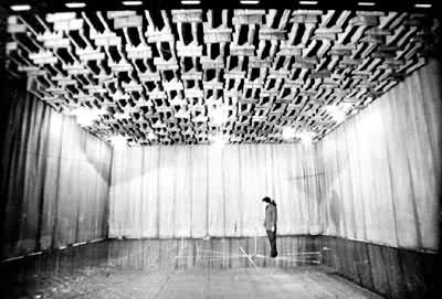 �������ھ�