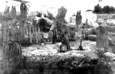 ë���������ַ