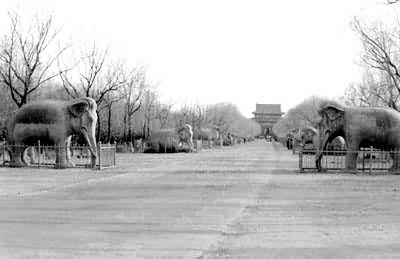 �������ʯ����