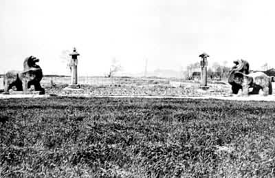 ���վ�������Ĺʯ�޺������