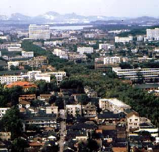 �����ʶ��Ͼ���������