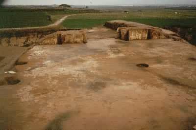 ����������ַ