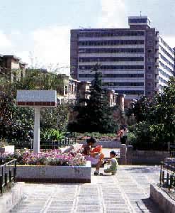 �Ϻ���ƽ·С��԰