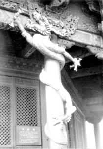 �����ʹ���������������