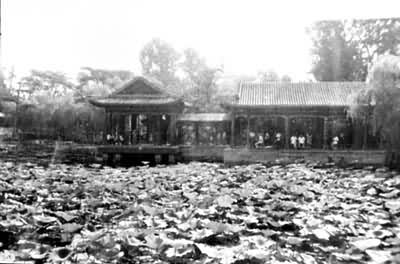 �����ú�԰гȤ԰���ö�����ӵ�ˮ�