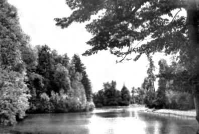 �͸����԰����ˮ��