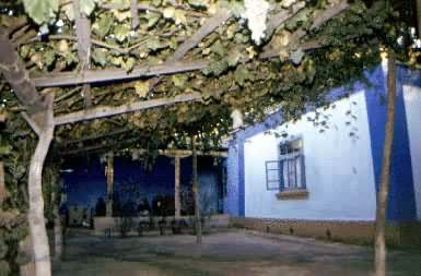 �½�����ά�����լ԰