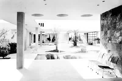 ���ݶ��������ݶ���԰