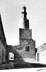 ���޵����������������