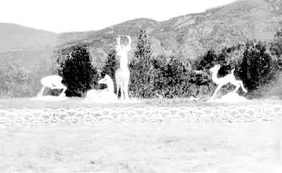 ����ֲ��԰Ⱥ¹����