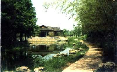 �Ͼ�ҩ�ﻨ԰���񾶺Ͳ���