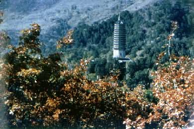 ������ɽ��Ҷ��������԰������ļ���