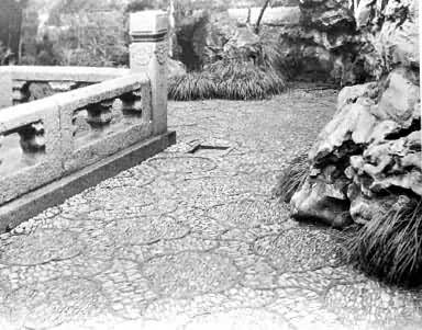 ͼ2��������ʦ԰��mͥԺ�еĻ����̵�