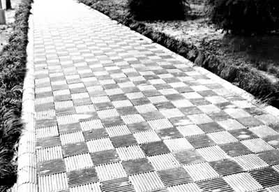 ͼ3���㽭��ѧУ԰�ڵĻ��������̵�