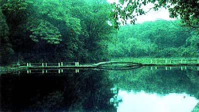 ��ɳ����ʿ��԰��С��