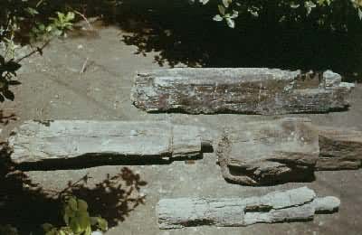 �㽭��Ҧ��ķ����ʯ��ʱ��������ַ�îľ������Լ��Ԫǰ5000��ǰ3300��