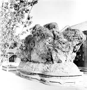 ͼ1�������ú�԰�ġ���֥ᶡ�