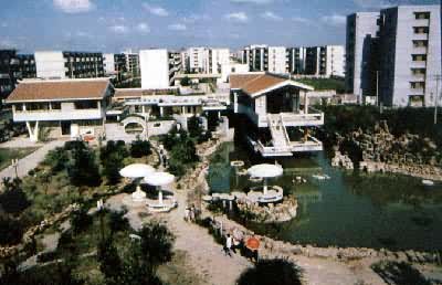 ���ճ�������̶��סС��