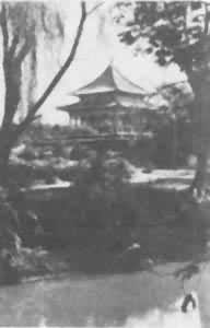 ͼ2���������칫԰����ͤ����