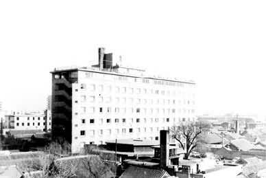 ������ƽ����