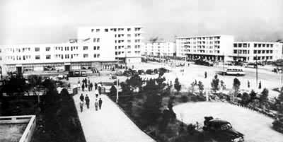 �Ϻ�����һ����