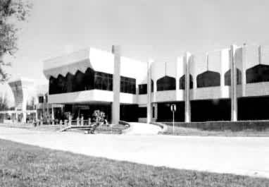 ��³ľ��ӭ����