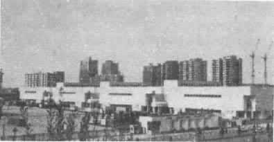 �й�����չ������