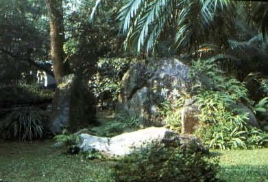 �������ԣ�ֲ�������ר�໨԰