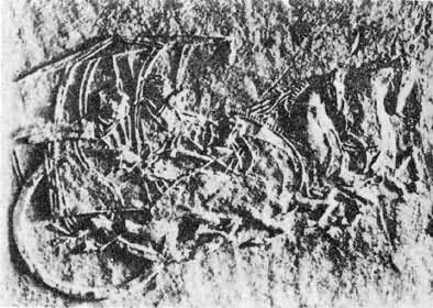 �������ͼ(��������ש���Ĵ��ɶ�����ɽ����)