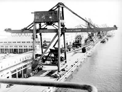 ��ʽץ��ж����