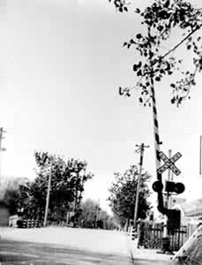 �Զ����Ƶ���