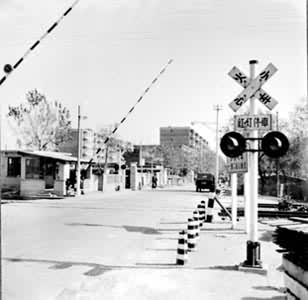 ���Զ����Ƶ���