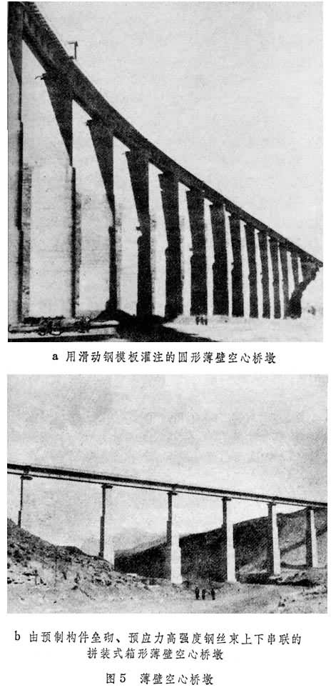 ���ڿ����Ŷ�