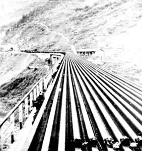 250�׳��ֹ쳵ͨ�����