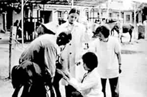 ����ũҵ��ѧ��ҽϵѧ����ũ����ҽվʵϰ