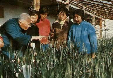 ����ũҵ��ѧ��������������ｲ��ũҵ��ѧ����