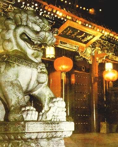 ������ѧ