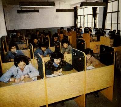 ����ʦ����ѧѧ�����������