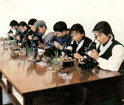 ����ũ��ѧԺѧ����������ʵ���