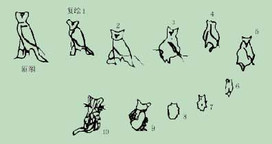 ����Ĵ���