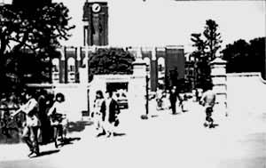 ������ѧ����