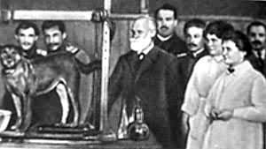 �͸������ʵ������