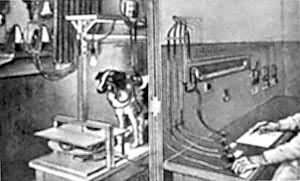 ��������ʵ����