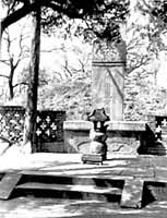 ��������Ĺ