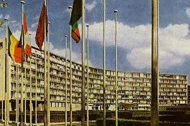 ���Ϲ���������ѧ���Ļ���֯�����ܲ�