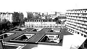 ���Ϲ���������ѧ���Ļ���֯�����ܲ�