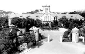 ɽ������ѧԺ