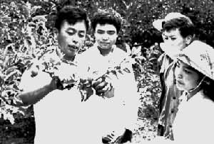 ����ũҵ��ѧ԰��ϵ��ѧ����ƻ�����л�ѧ����о�