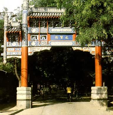 �������ͽ�