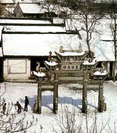 ������Ժ